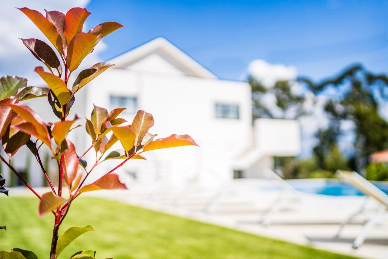 세로리코데바스토 Casas Da Padaria 빌라 외부 사진